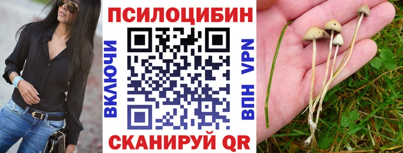 hydra как войти Углич Псилоцибиновые грибы MAGIC MUSHROOMS
